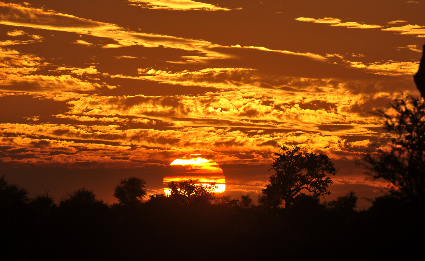 Kruger Nationalpark [550 mm, 1/1600 Sek. bei f / 10, ISO 400]